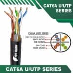 Cat6a u utp 6axx6m pvc Cable 23 awg 4 pair 305m - Image 3